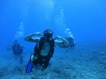 Hawaii Scuba divng 14