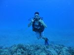 Hawaii Scuba divng 16