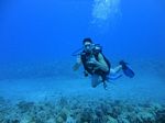 Hawaii Scuba divng 17