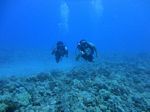 Hawaii Scuba divng 18