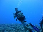 Hawaii Scuba divng 20