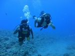 Hawaii Scuba divng 21