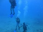 Hawaii Scuba divng 24