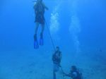 Hawaii Scuba divng 25