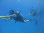 Hawaii Scuba divng 26