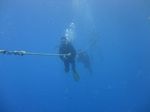 Hawaii Scuba divng 29