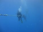 Hawaii Scuba divng 29