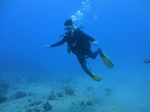 Hawaii Scuba divng 31