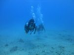 Hawaii Scuba divng 32