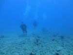 Hawaii Scuba divng 33