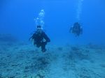 Hawaii Scuba divng 34