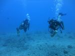 Hawaii Scuba divng 35