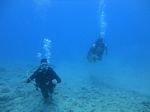 Hawaii Scuba divng 36