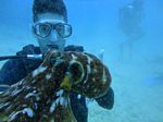 Hawaii Scuba divng 42