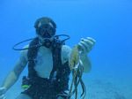 Hawaii Scuba divng 43