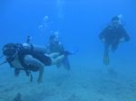 Hawaii Scuba divng 47