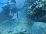 Hawaii Scuba divng 52