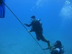 Hawaii Scuba divng 63