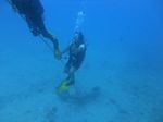 Hawaii Scuba divng 64