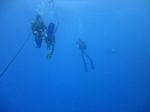 Hawaii Scuba divng 09