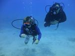 Hawaii Scuba divng 18