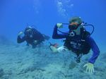 Hawaii Scuba divng 20