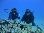 Hawaii Scuba divng 21