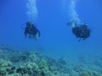 Hawaii Scuba divng 26