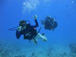 Hawaii Scuba divng 27