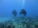 Hawaii Scuba divng 36