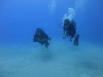 Hawaii Scuba divng 37