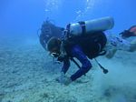 Hawaii Scuba divng 38