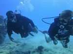 Hawaii Scuba divng 43