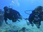 Hawaii Scuba divng 43