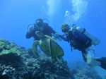 Hawaii Scuba divng 49