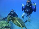 Hawaii Scuba divng 51