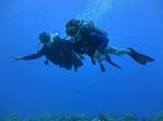 Hawaii Scuba divng 56