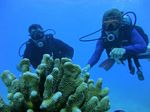 Hawaii Scuba divng 57