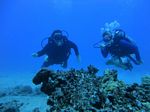 Hawaii Scuba divng 59