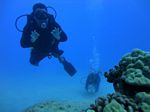 Hawaii Scuba divng 61