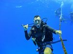 Hawaii Scuba divng 10