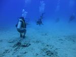 Hawaii Scuba divng 13