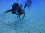 Hawaii Scuba divng 14