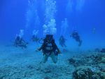 Hawaii Scuba divng 15