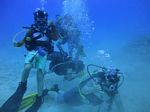 Hawaii Scuba divng 20