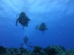 Hawaii Scuba divng 21