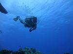 Hawaii Scuba divng 22