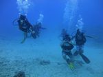 Hawaii Scuba divng 23