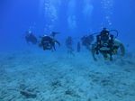 Hawaii Scuba divng 24