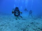 Hawaii Scuba divng 26